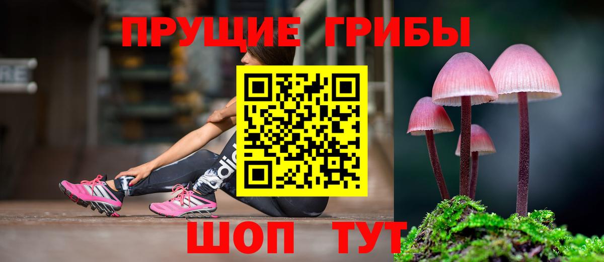 Псилоцибиновые грибы прущие грибы  Вход с VPN  Дзержинск 